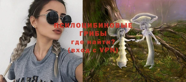 молекула духа Балабаново