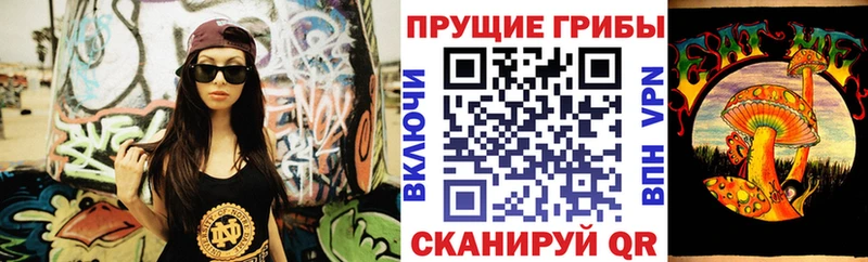 Псилоцибиновые грибы мицелий  Барыш 